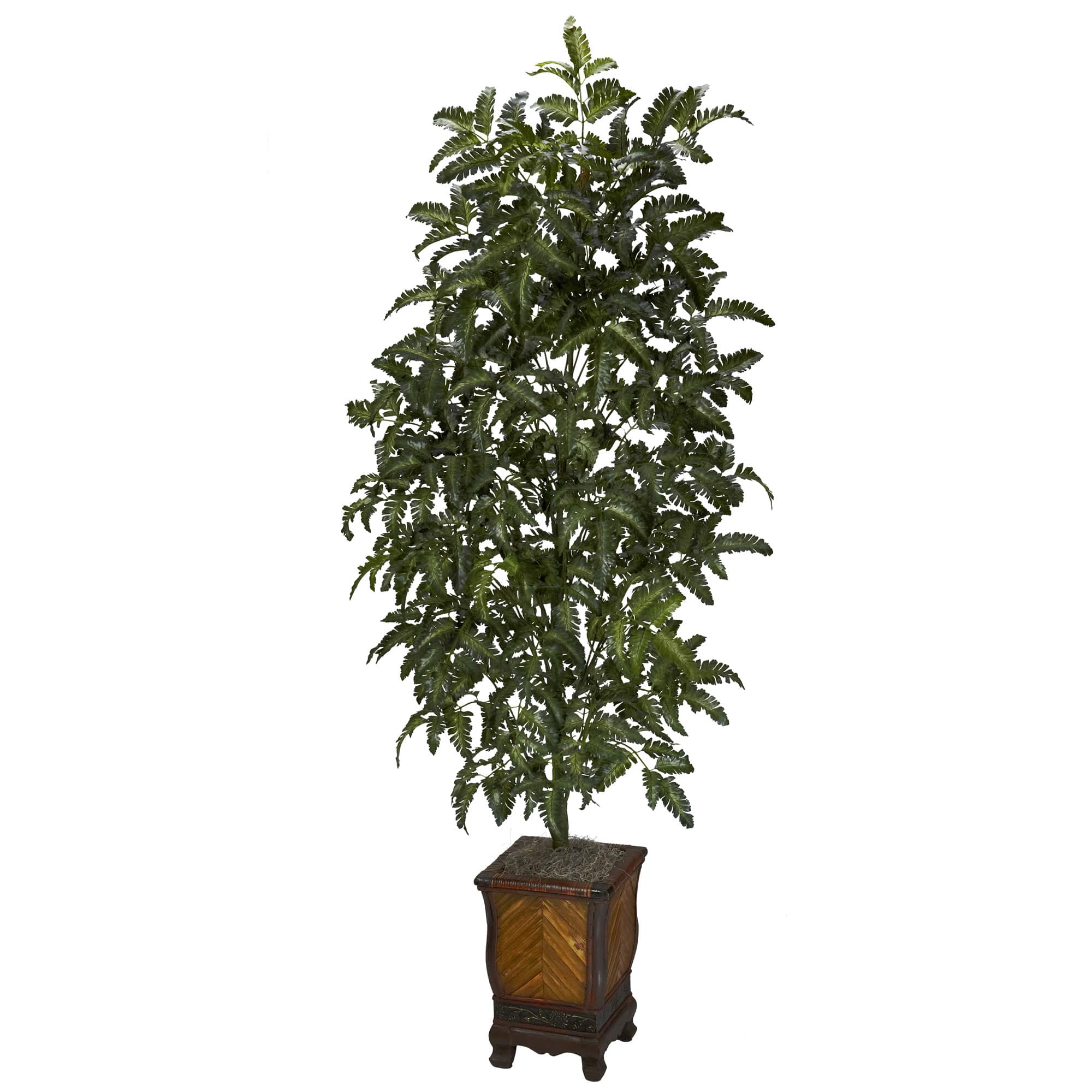 5ft. Bracken Fern Tree with Decorative Vase